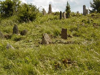 Tombstone DSC00442