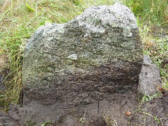 Tombstone DSC00653