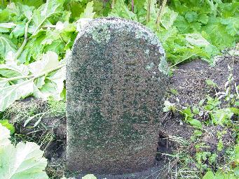 Tombstone DSC00724