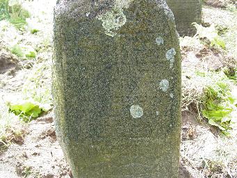 Tombstone DSC00745