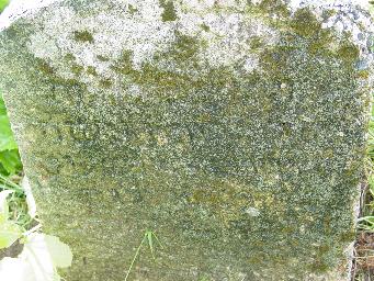 Tombstone DSC00746